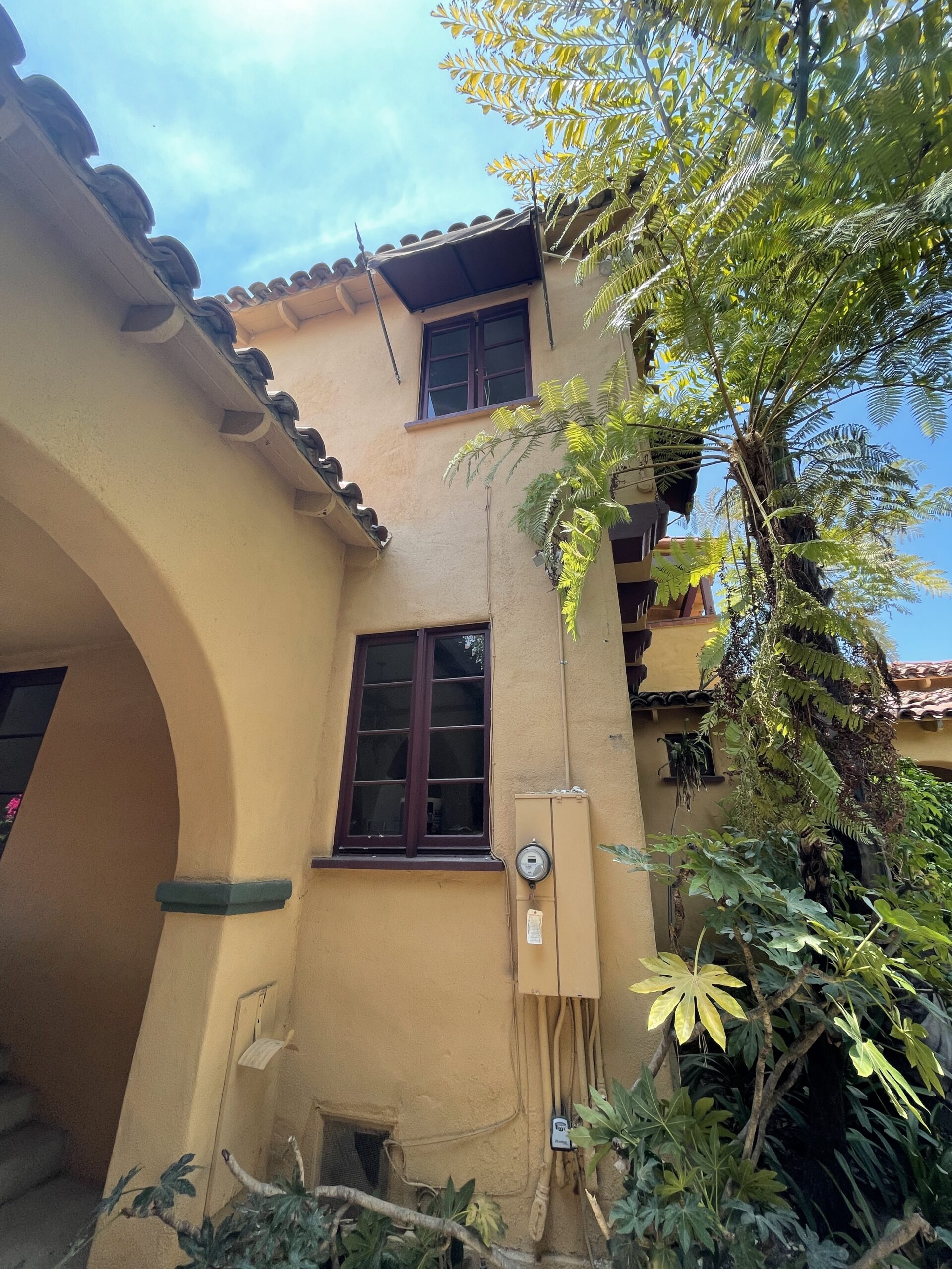 IMG_8905 - Copy - Copy